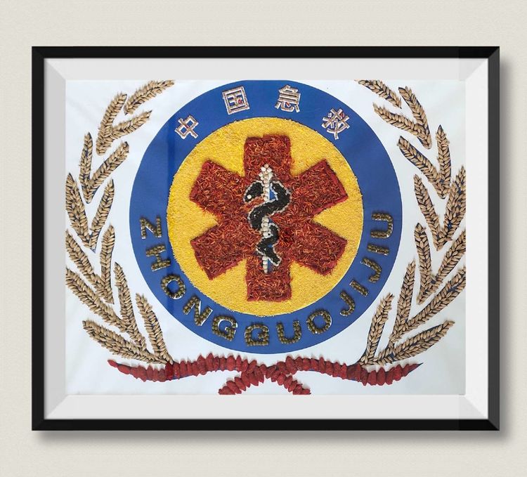 单县中医医院中药材贴画画展