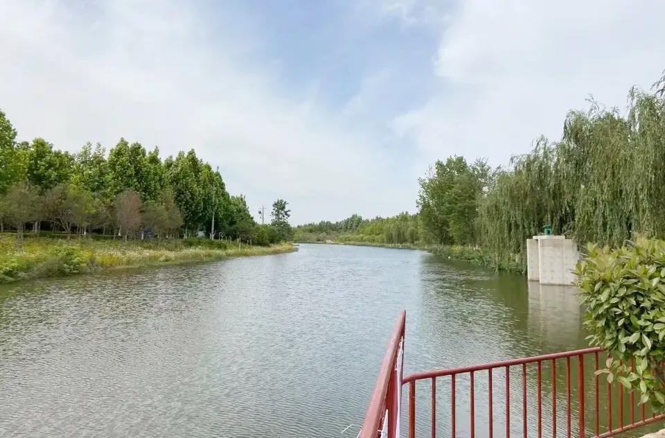 十里湖生态湿地公园位于济宁高新区南部,作为济宁市"一环八水绕济宁