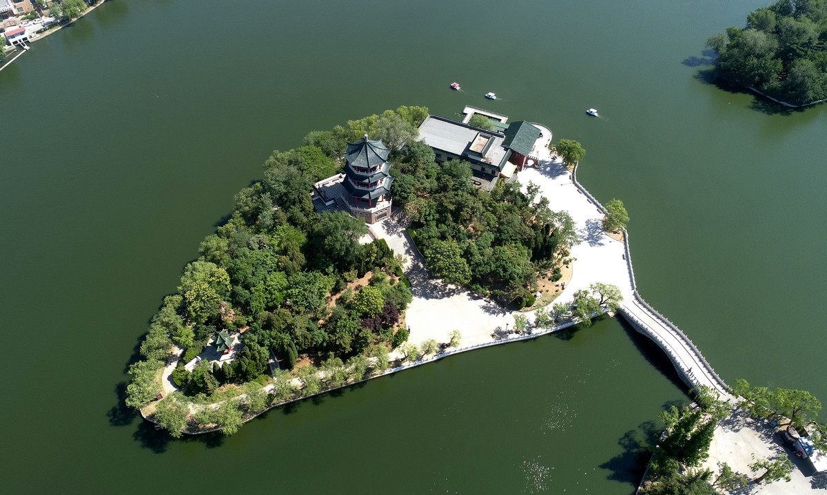 不负春光杏好有你