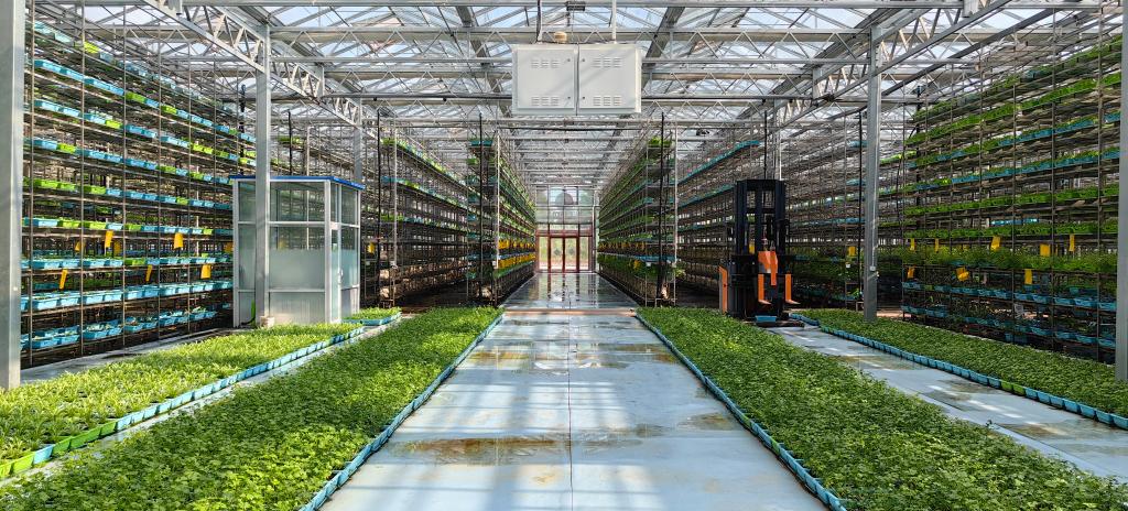 玉泉洼合作社的10层立体栽培温室大棚.